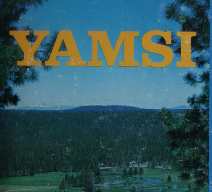 Yamsi Yamsi