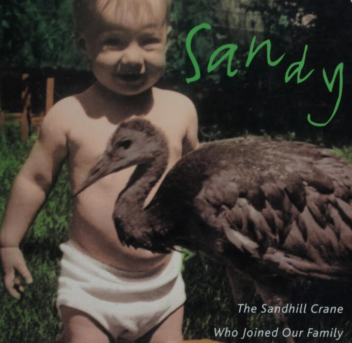 Sandy Sandy